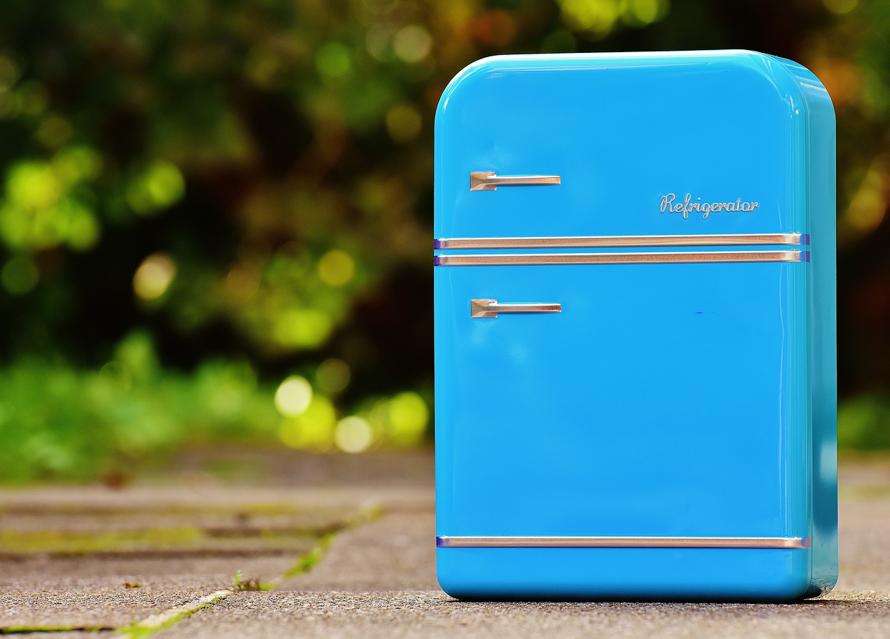 Sustainable Refrigeration Technologies for a Cooler Planet